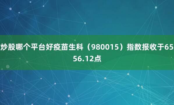 炒股哪个平台好疫苗生科（980015）指数报收于6556.12点
